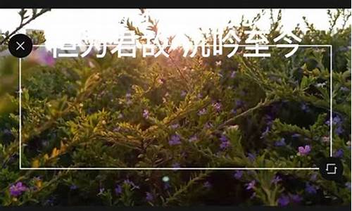 剪映怎么调整速度有快有慢